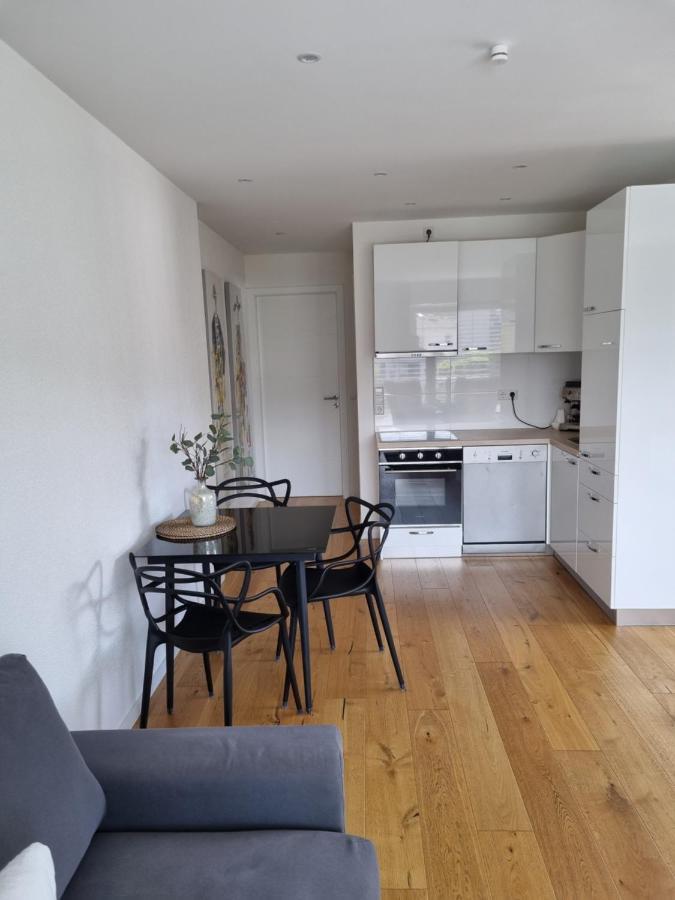 Ferienwohnung Ella's Lounge - besonders genießen Singen  Exterior foto